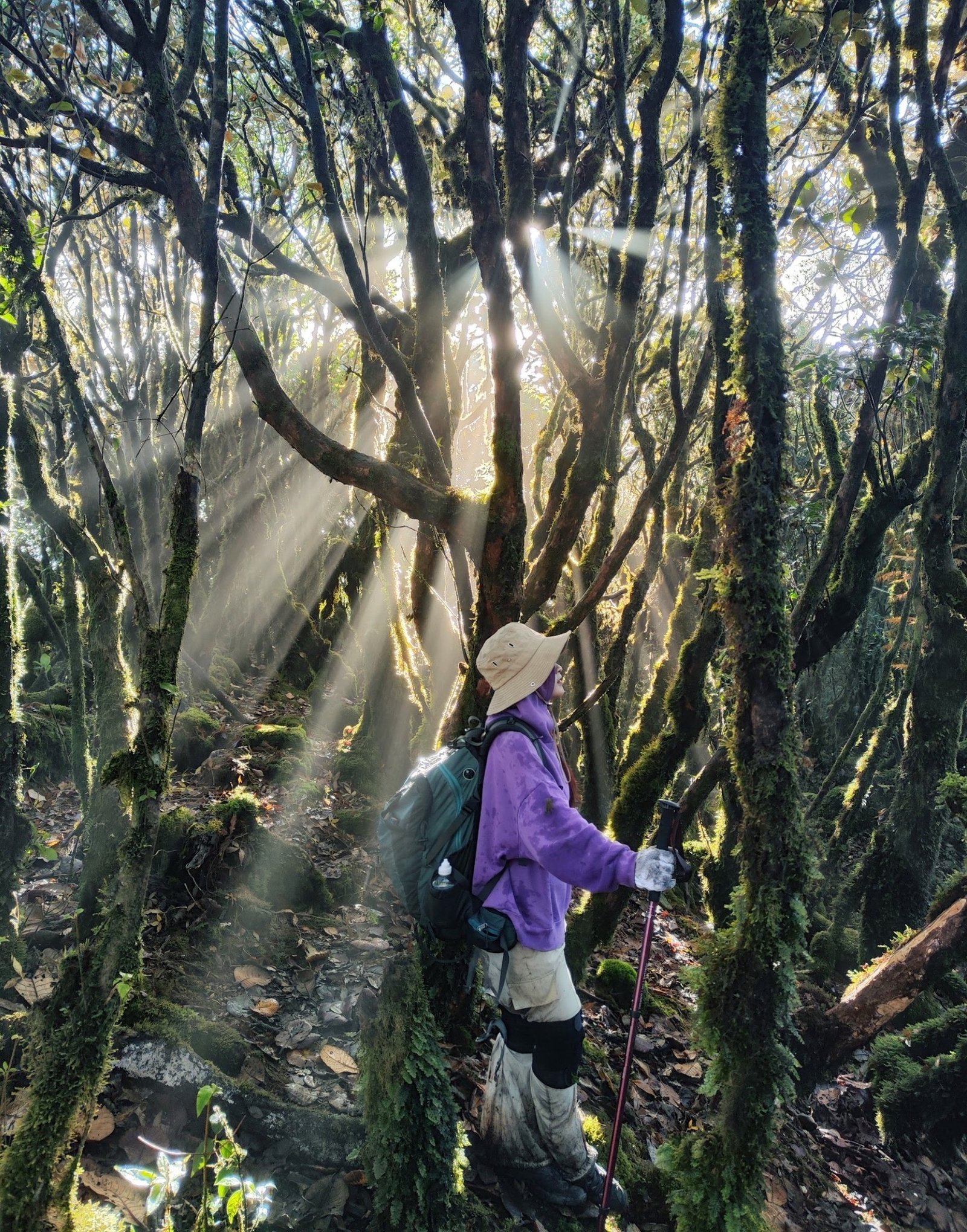 Travel North West Vietnam Trekking 9 Days